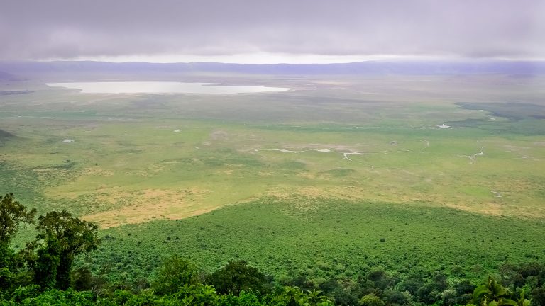 Ngorongoro-1001-2