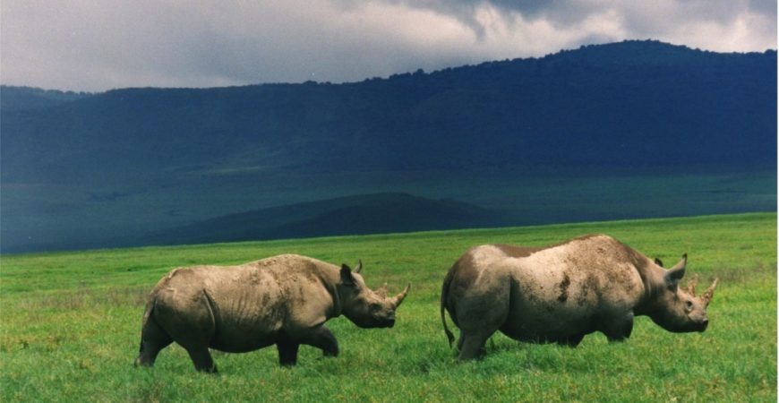 00371786_ebdf95abb7c46fe6da3314384e72dd12_arc614x376_w1200