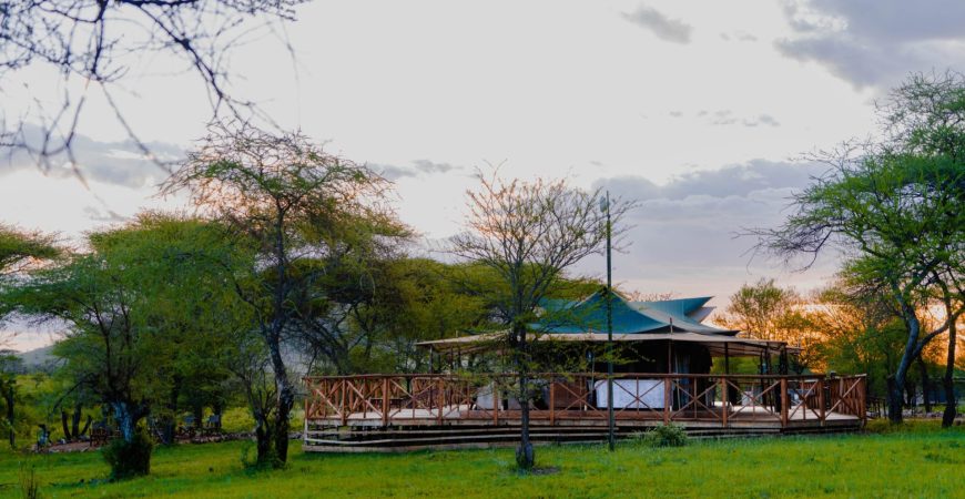 Embalakai-78-scaled-e1670066873543