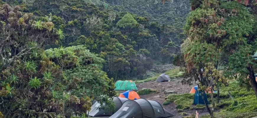 Machame-Camp-site-day-1-Machame-route-Kilimanjaro