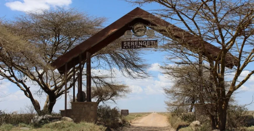 Serengeti_national_park-1